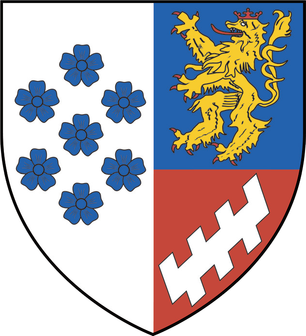 Wappen Klinkum2